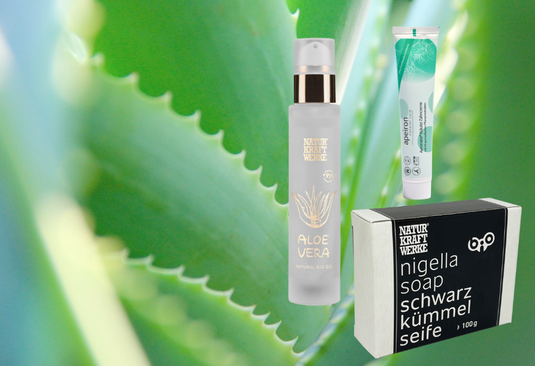 Aloevea_Koerperflegeprodukte