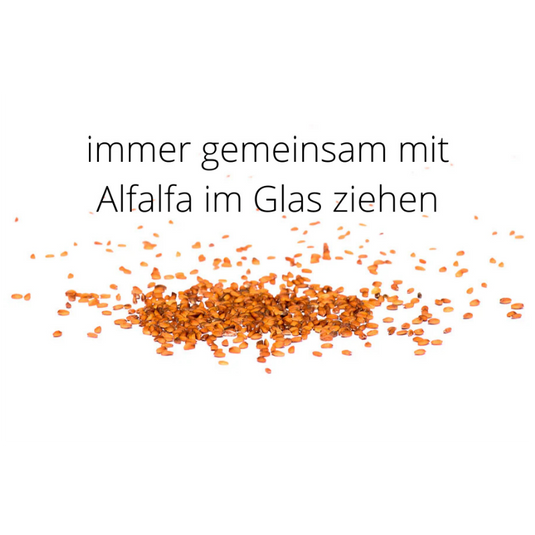 Kresse Samensprossen - bio-swiss