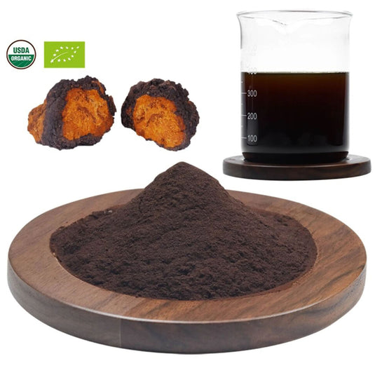 Chaga Vitalpilz - bio-swiss